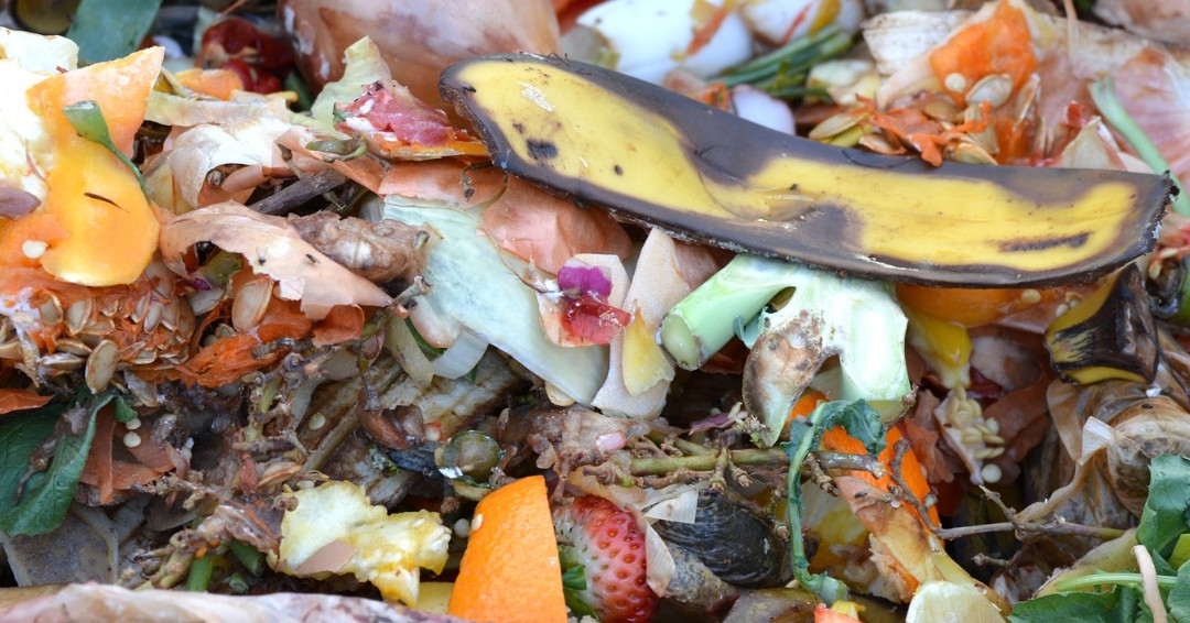 Metro Waste Services will soon open applications for a residential pilot program to collect food scraps at the curb for recycling. Free weekly collection will be provided for 750 households to study solutions to wasted food. Keep an eye out in the next few weeks to apply!