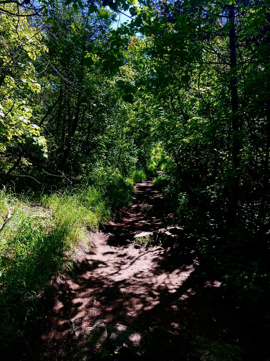 I’ve never really been an out doorsy person, I think growing up in Las Vegas it was so damn hot 🥵 I just got used to in door activities… that’s all changing now and I love it. Nature is extremely humbling and beyond healing. Get outside if you can. ❤️