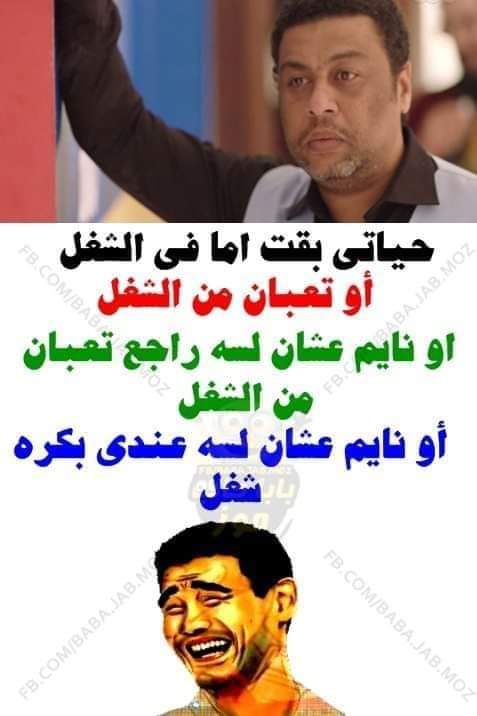 انس محروس (@mhrws_ans) on Twitter photo 