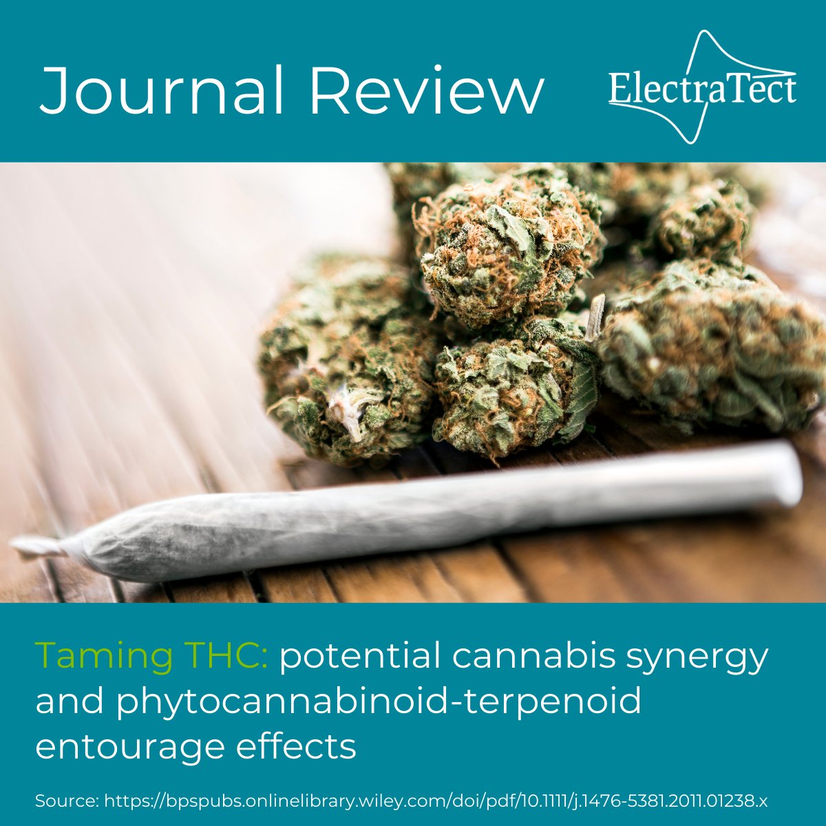 ElectraTect's tweet photo. While there is a lot we don't know about the Entourage Effect, if you would like to learn more about the current understanding and potential future #research, we recommend checking out this article from the British Journal of Pharmacology. #ElectraTect

https://t.co/wQBsU4RHOy https://t.co/SwL1k3xzyc