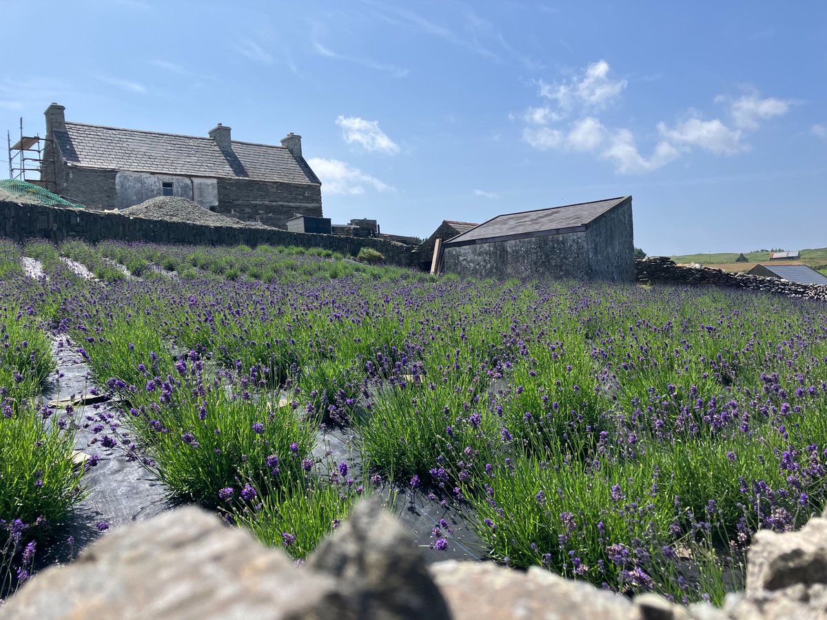 Kathleen Bell tweet media