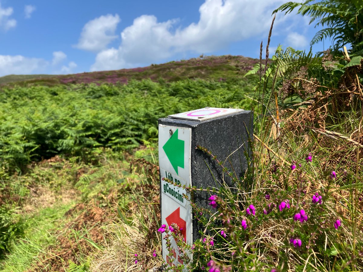 Kathleen Bell tweet media