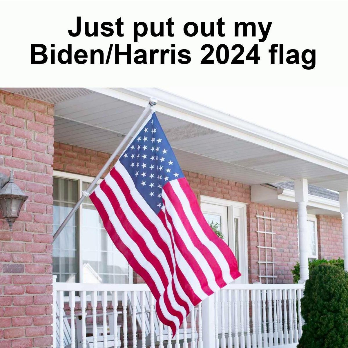 I prefer OUR Biden/Harris flags to their trump flags. How about YOU? 🇺🇸