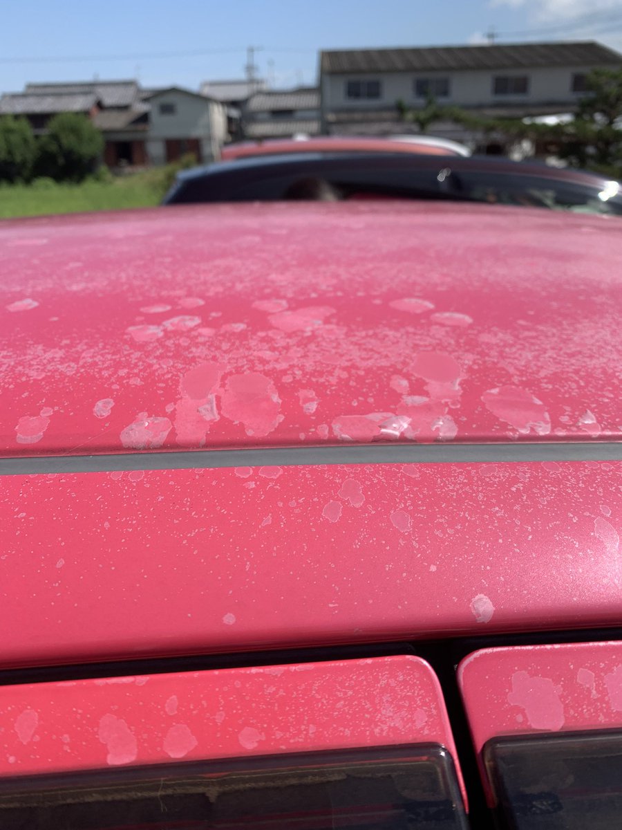 車のクリア剥げがヤバすぎる💦
もうすぐ10年目でこれっておかしくない？！
