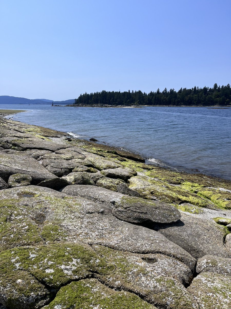 HappySAHD tweet media