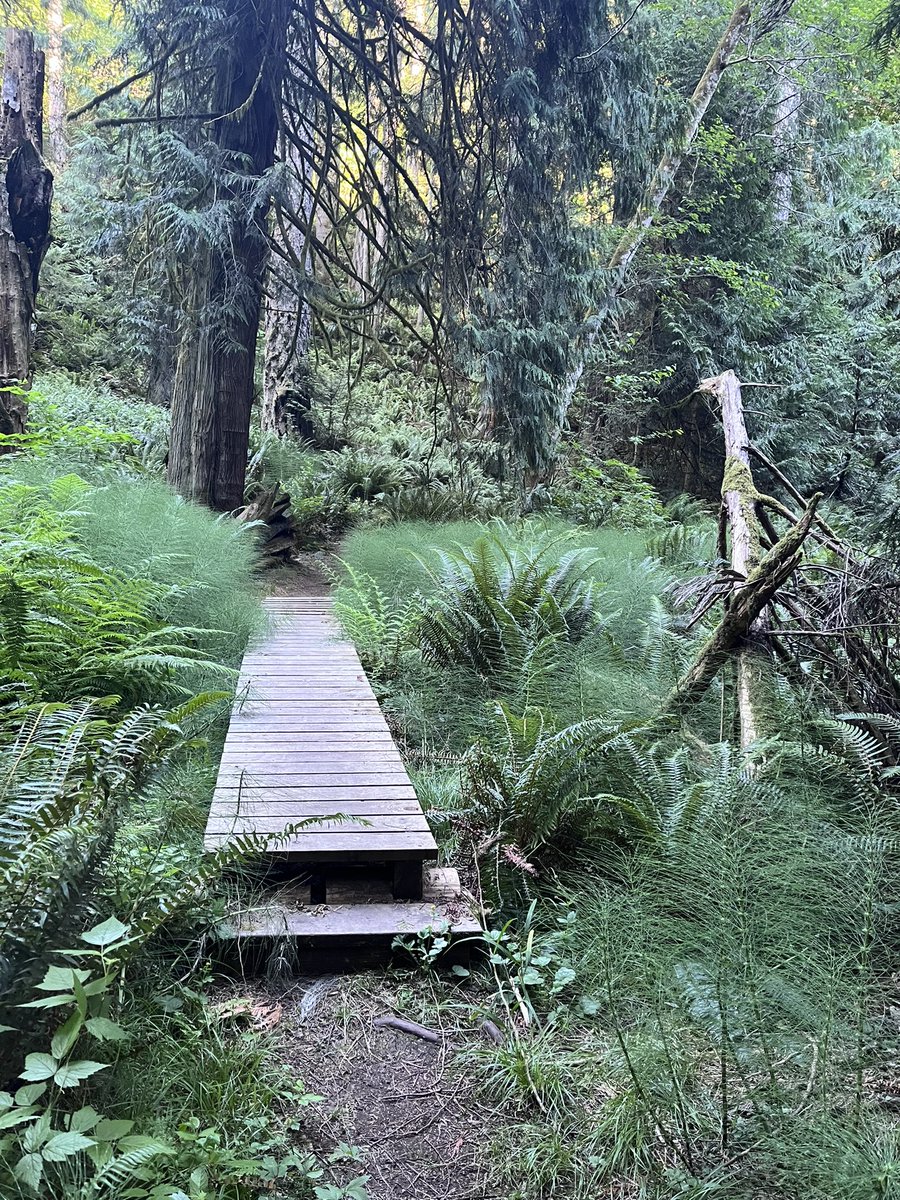 HappySAHD tweet media