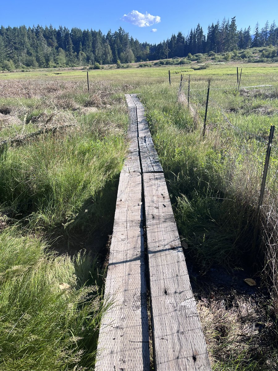 HappySAHD tweet media