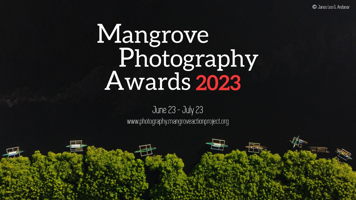 MangroveProject's tweet photo. 📣 Calling all #nature, #conservation and wildlife enthusiasts! Entries are now open for the 2023 #MangrovePhotographyAwards, a platform for #photographers to raise their voices
for the protection of our #mangrove ecosystems💚https://t.co/Q06fFleRXX #generationrestoration RT https://t.co/WLqcGqqBxE