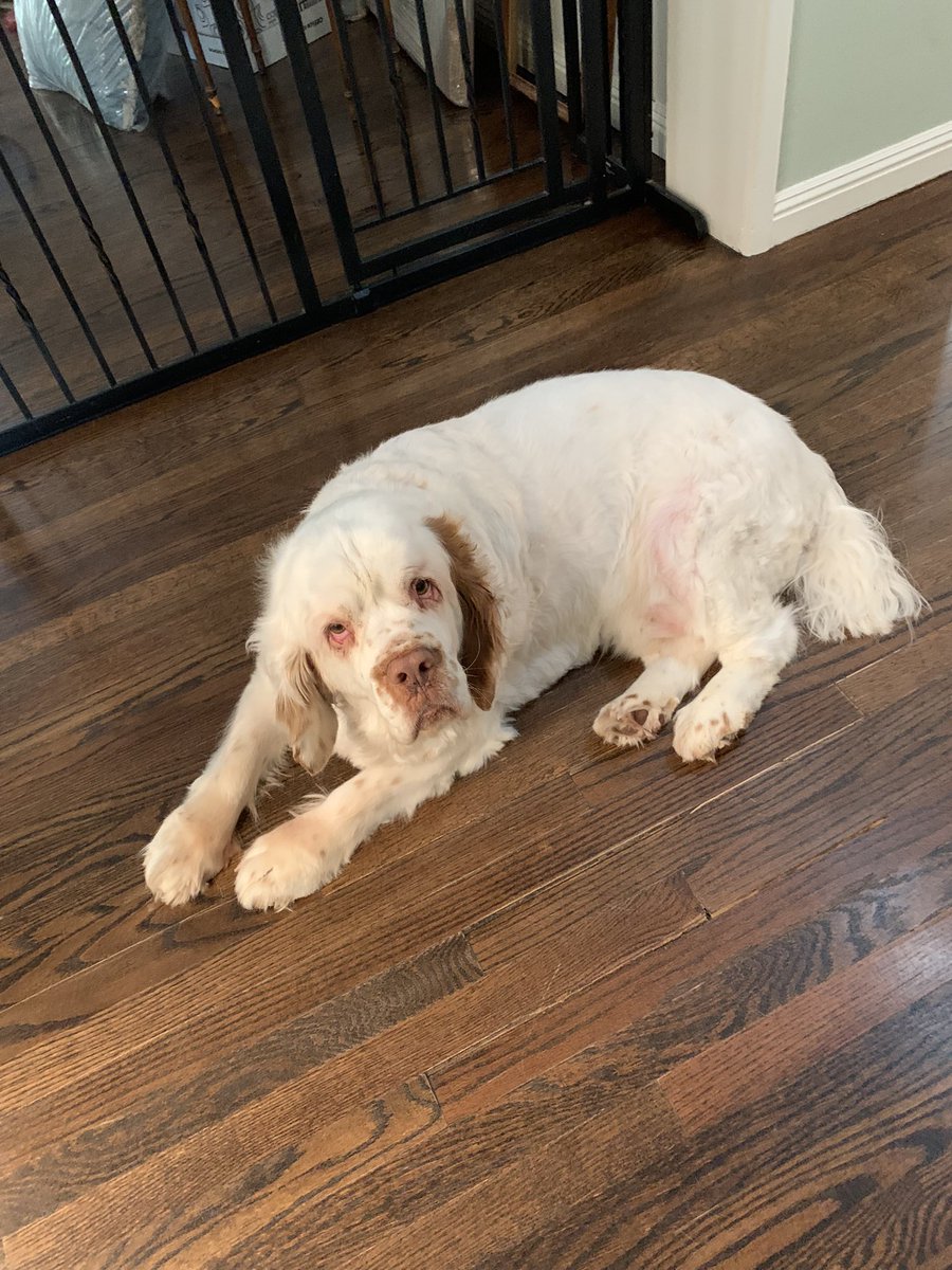 julie mossberg tweet media