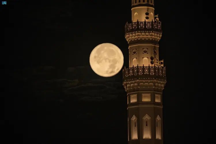 أخبار السعودية tweet media