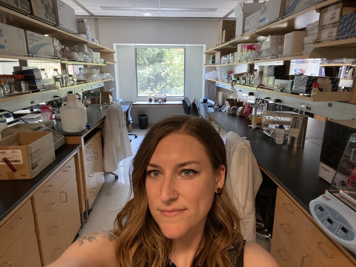 Katie Chirco tweet media