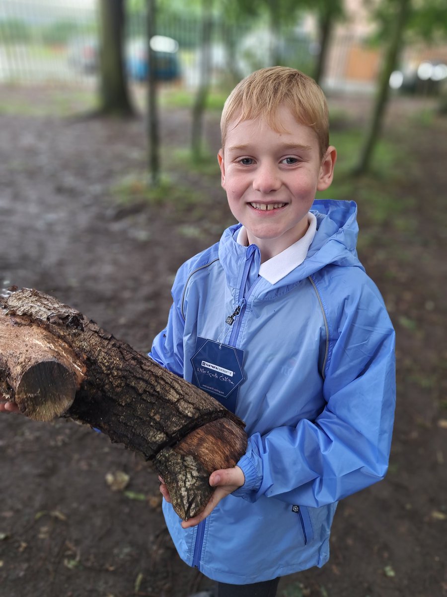 Y3 have been learning all about biodiversity.  
Will their new bug hotel attract more minibeasts to our forest? <a href="/BarntonMissR/">Miss Rutter</a> <a href="/BarntonMissHL/">Miss Lagar</a>