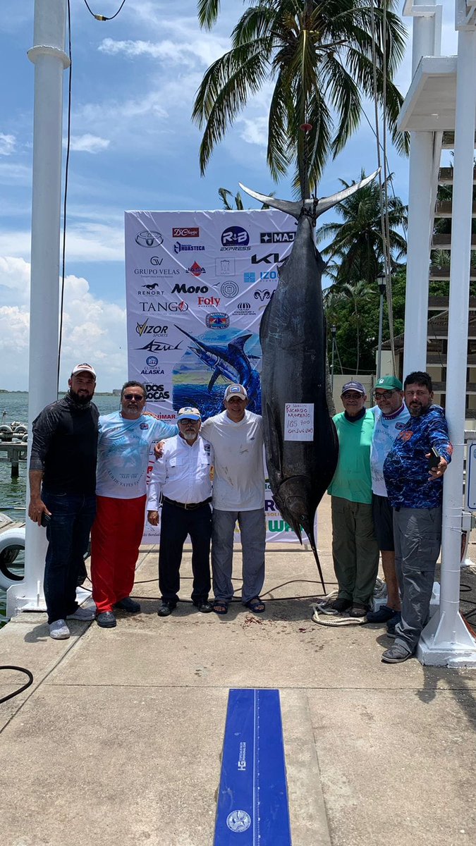 Televisa del Golfo tweet media