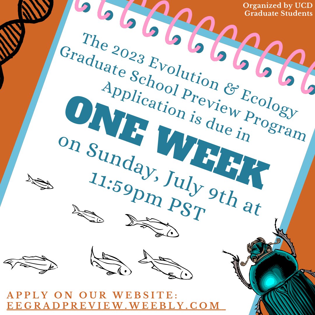 LESS THAN ONE WEEK left to submit your application to participate in the 2023 E&E Grad Preview Program! If you or anyone you know if interested, check out the link in our bio for more information!!! Got questions? DM us! We'd love to help😊