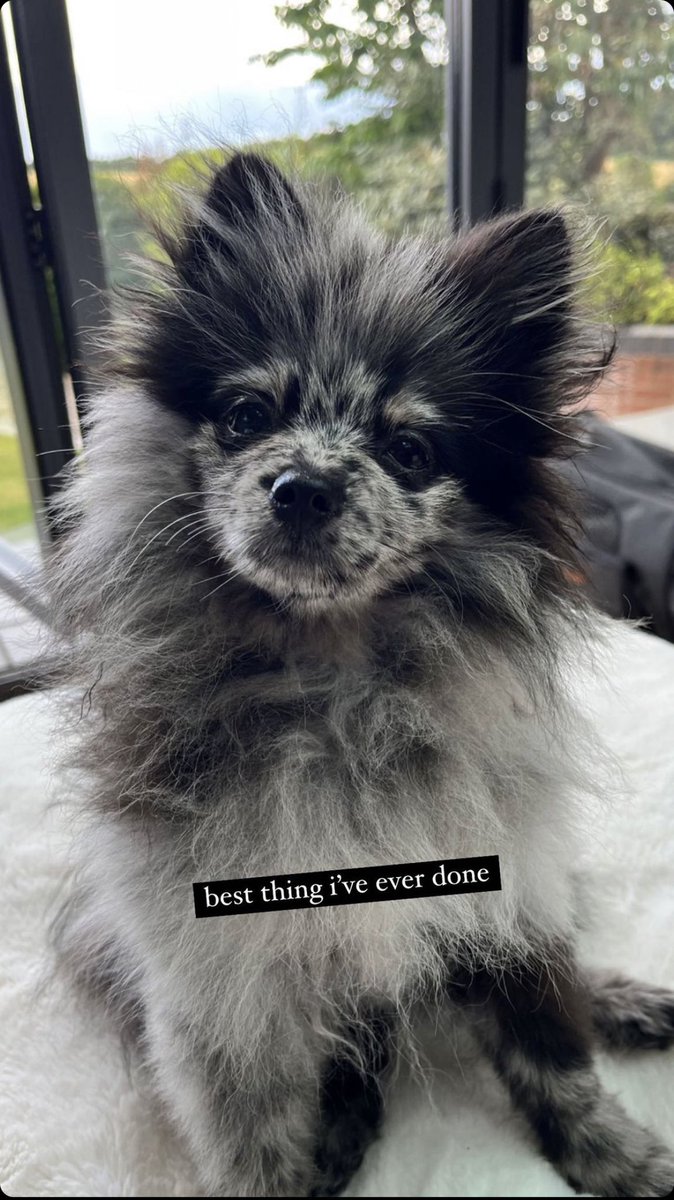 UpdatesCSJB's tweet image. Con's Instagram story (5)
(July 3, 2023)