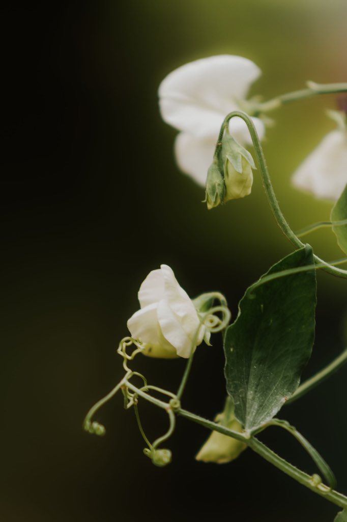 Kate Cullen Coaching & Photography tweet media