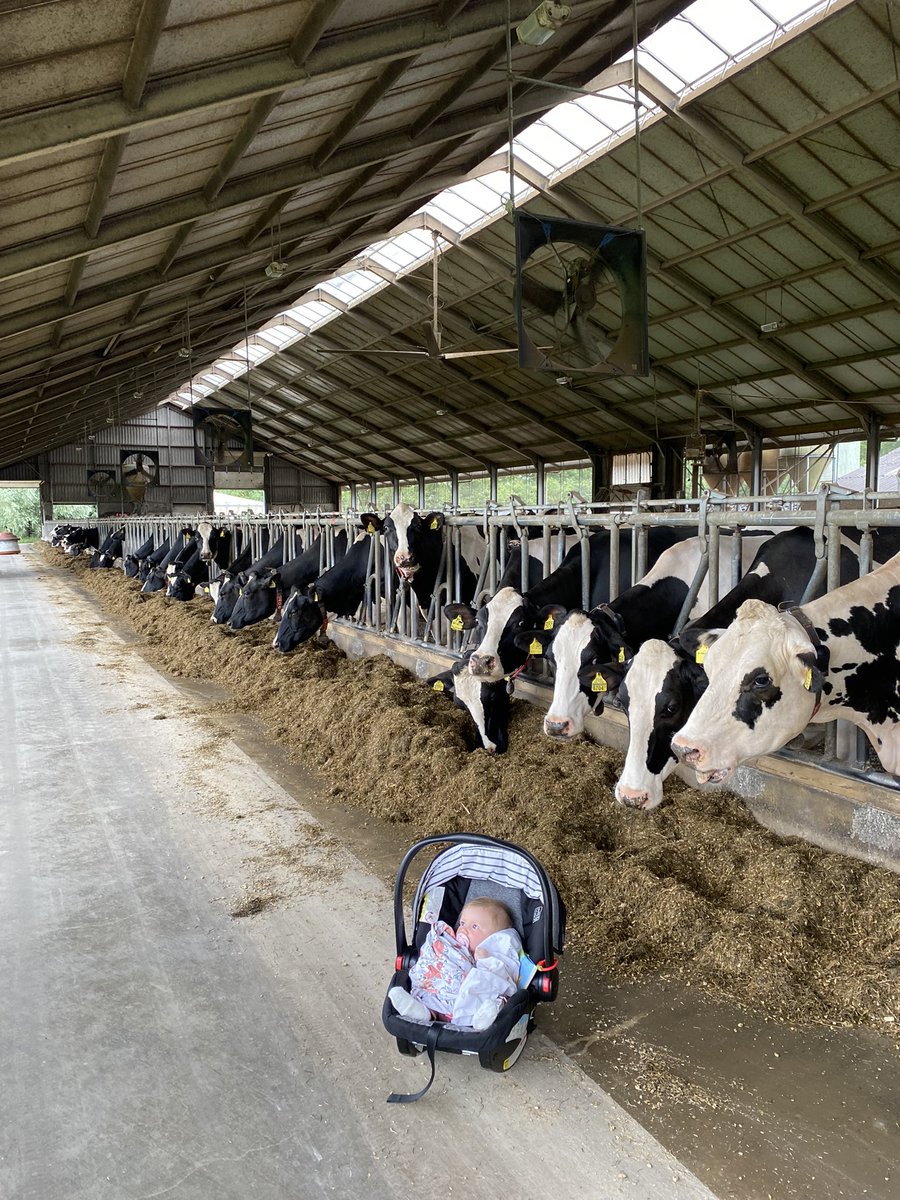 Caleigh Slits tweet media