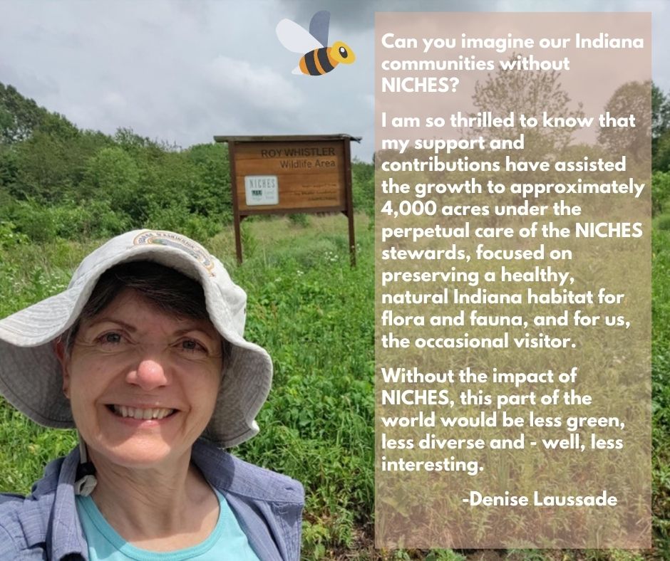 NICHES is celebrating 28 years of helping nature THRIVE! - mailchi.mp/nicheslandtrus…