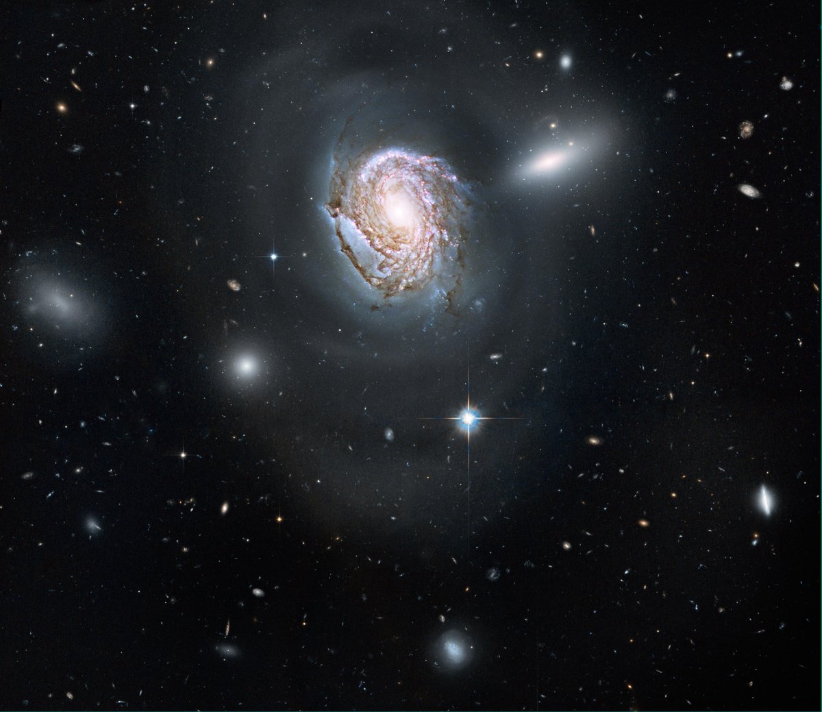 NASAHubble's tweet photo. The Coma Cluster is home to almost a thousand galaxies, making it one of the densest collections of galaxies in our nearby universe.

In this #HubbleClassic image, one of its members – NGC 4911 – glows with newborn star clusters: https://t.co/1j95LPuc69 https://t.co/ApCTvfH0HB