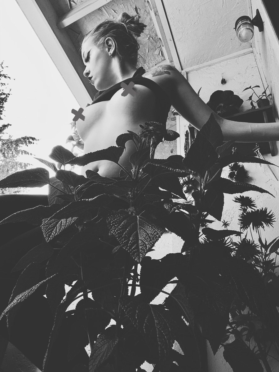 itspsychi's tweet photo. 🖤🌱 https://t.co/KVcckZigtc