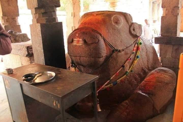 _vatsalasingh's tweet photo. रामायण काल का विचित्र मंदिर, जो विज्ञान के नियमो से परे है .... इस मंदिर में नंदी की मूर्ति का आकार इतना बढ़ ग��ा, की खम्बो को हटाना पड़ा ।
आंध्र_प्रदेश के कुरनूल में स्थित इस मंदिर का नाम है श्री यंगती उमा मह���श्वर मंदिर। अपने आप में इस अनोखे मंदिर के बारे में कहा जा रहा है कि यहां नंदी के बढ़ते आकार की वजह से रास्‍ते में पड़ रहे कुछ खंबों को हटाना पड़ गया है। एक-एक करके यहां नंदी के आस-पास स्थित कई खंबों को हटाना पड़ा गया है।
इसे 15वीं शताब्‍दी में विजयनगर साम्राज्‍य के संगम वंश के राजा हरिहर_बुक्का राय के द्वारा बनवाया गया है। यह मंदिर हैदराबाद से 308 किमी और विजयवाड़ा से 359 किमी दूर स्थित है। जो कि प्राचीन काल के पल्लव, चोला, चालुक्य और विजयनगर शासकों की परंपराओं को दर्शाता है।
यहां के बारे में स्‍थानीय लोग एक कथा के बारे में बताते हैं कि तब अगस्‍त्‍य ऋषि तपस्‍या कर रहे थे, तो कौवे उनको आकर परेशान कर रहे थे। नाराज ऋषि ने शाप दिया कि वे अब यहां कभी नहीं आ सकेंगे। चूंकि कौए को शनिदेव का वाहन माना जा��ा है, इसलिए यहां शनिदेव का वास भी नहीं होता।

यहां शिव-पार्वती अर्द्धनारीश्‍वर के रूप में विराजमान हैं और इस मूर्ति को अकेले एक पत्‍थर को तराशकर बनाया गया है। 
इस मंदिर की एक खास बात और भी है कि यहां पुष्‍कर्णिनी नामक पवित्र जलस्रोत से हमेशा पानी बहता रहता है। कोई नहीं जानता कि साल 12 महीने इस पुष्कर्णिनी में पानी आता कहां से है। भक्‍तों का मानना है कि मंदिर में प्रवेश से पहले इस पवित्र जल में ���्‍नान करने से सभी पाप धुल जाते हैं।

जय हो सनातन धर्म और संस्कृति की