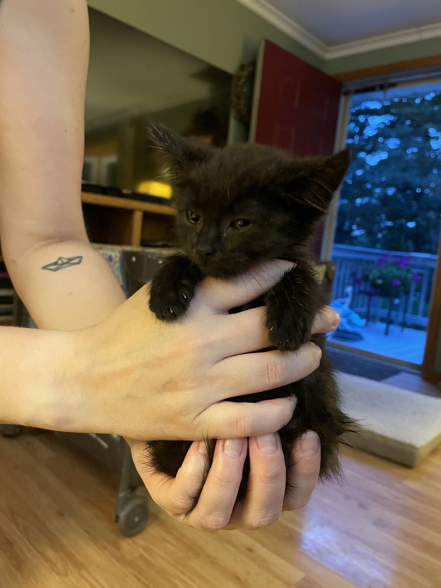 Wesleigh Mowry tweet media