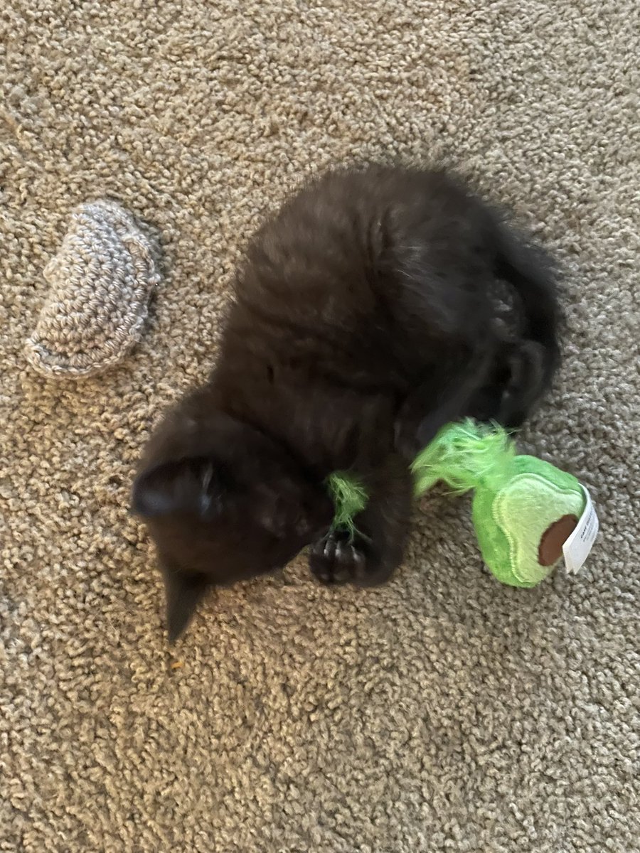 Wesleigh Mowry tweet media