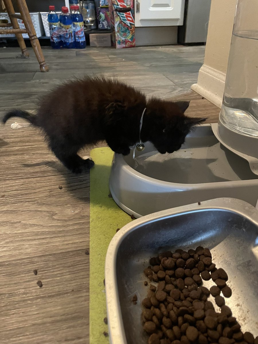 Wesleigh Mowry tweet media