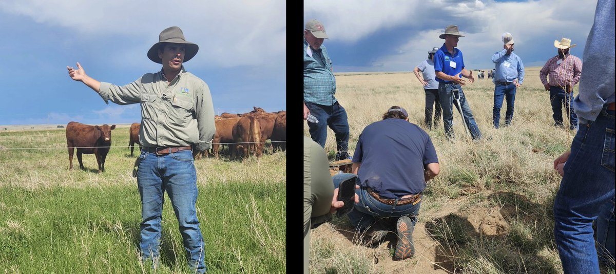AtlasGrazing's tweet photo. Team member and rancher Danna recently attended the SoilHealthAcademy  Health Academy School in Cimarron, NM, learning about "Regenerating Profits Through Adaptive Grazing" from industry experts Shane New, Burke Teichert, Luke Jones, and Fernando Falomir.  #RegenerativeGrazing https://t.co/tPJObFby4c