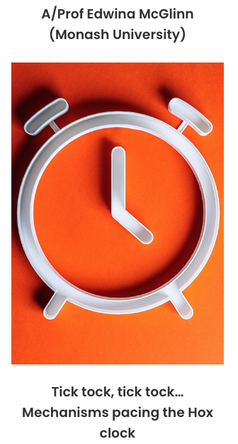 McGlinn Lab tweet media