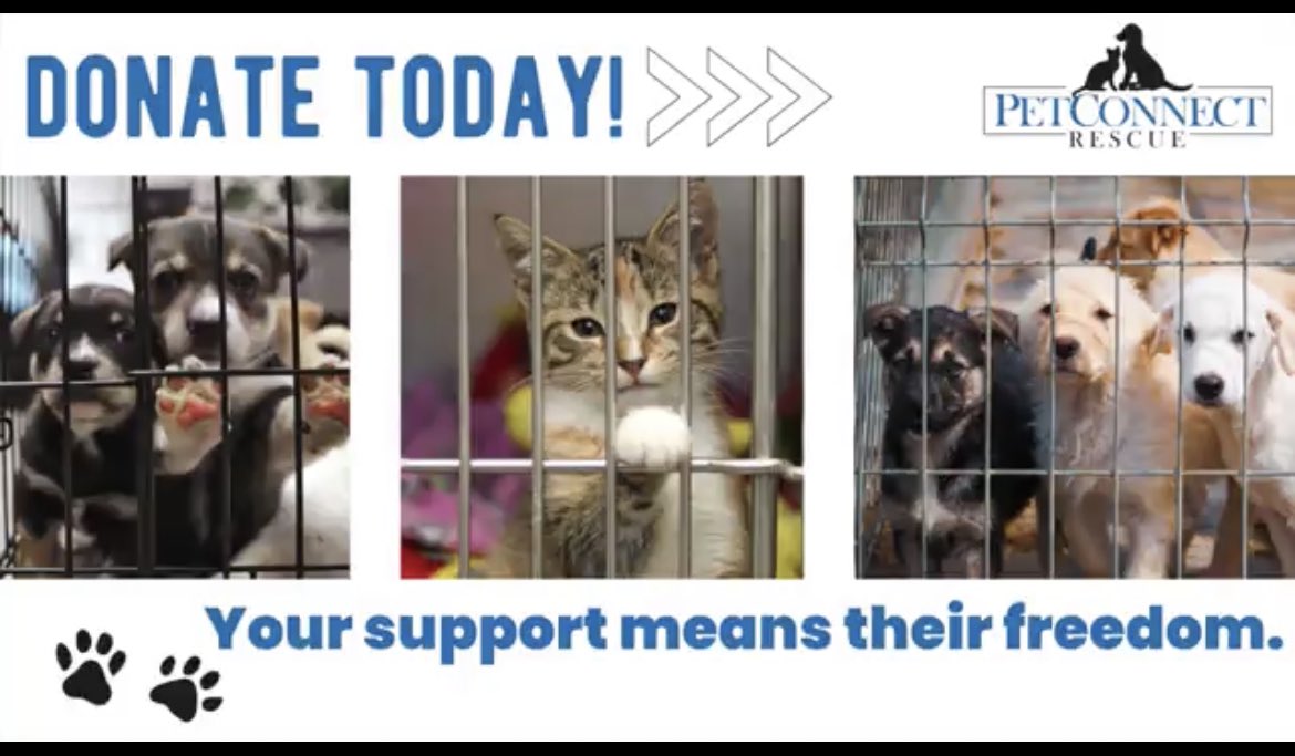 We are excited to partner with Adopt-A-Pet &amp; PetFundr on this new campaign! 

Please consider donating to help support our mission of saving the lives of abandoned dogs &amp; cats and placing them in loving and permanent homes. 

donate.adoptapet.com/c2CrEd?ref=ab_…