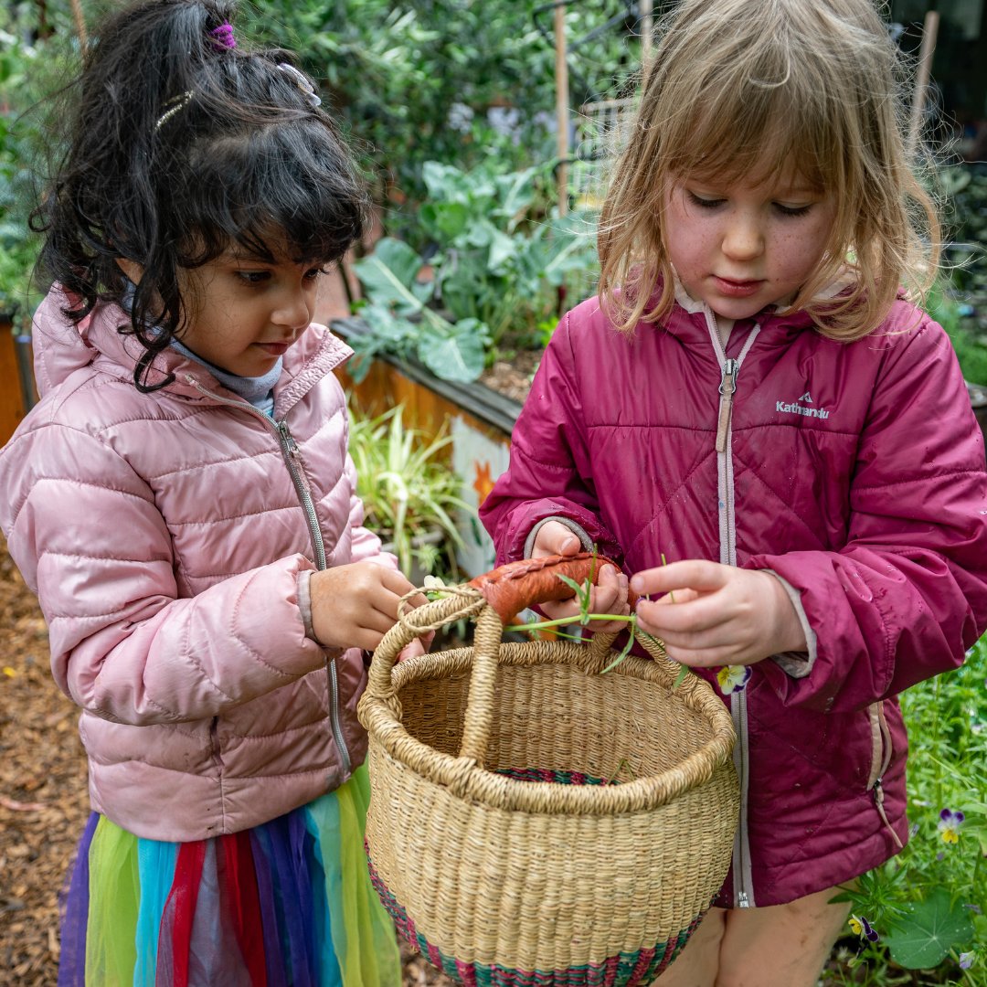 📢 Calling all early childhood educators and parents! 🌻 Join our friendly and expert Support Team for a free webinar 2.00pm Tuesday 11 July, where you can learn all about how the Kitchen Garden Program can benefit your organisation and community. 🔗 bit.ly/44yvvpL