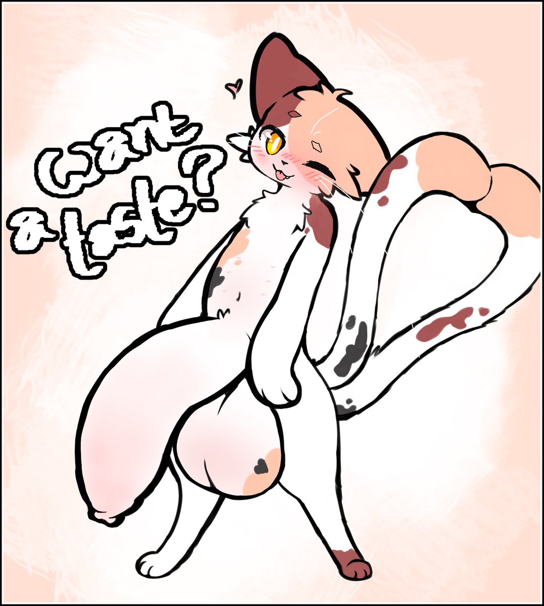 CatMakinBiscuits 🔞 tweet media