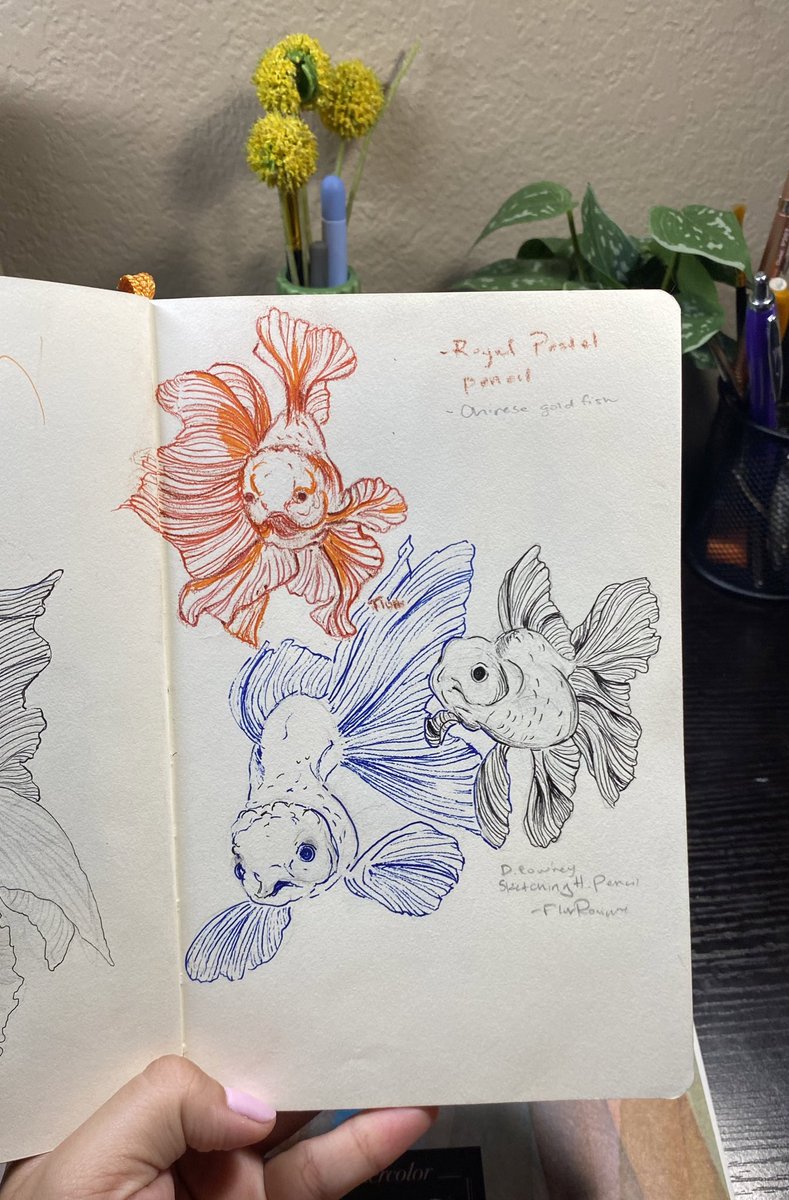 fresha_voca_do_'s tweet photo. lil fish collection ☺️ https://t.co/iJqPZY9sOQ