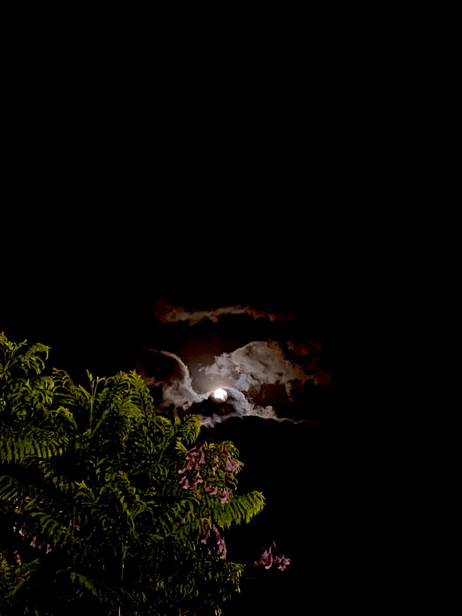 مثلك مثل وقتي سعيد بطلتك ♥️