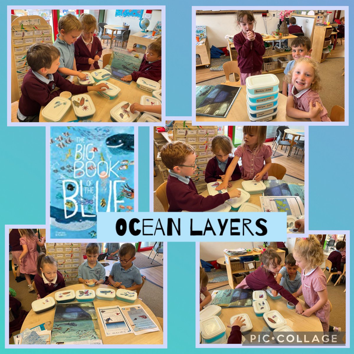 <a href="/YsgolParcYLlan/">Ysgol Parc Y Llan</a> Our Bl 1 Water Detectives enjoyed learning about the ocean layers. They used the wonderful book The Big Book of the Blue <a href="/yuvalzommer/">Yuval Zommer</a> to order the layers and sort the sea creatures in the correct layers they live in! 🌊⭐️Am waith ardderchog!