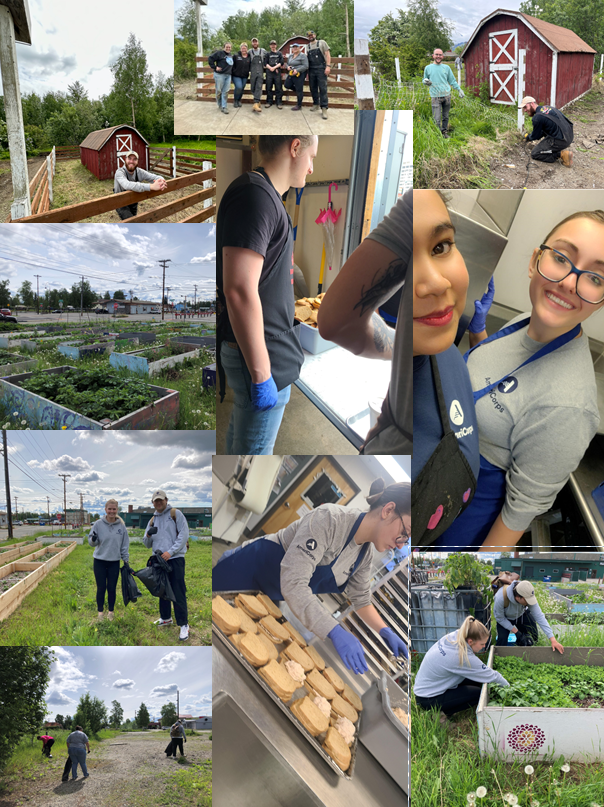 ServeAK's tweet image. AmeriCorps members at the APDA partnered w/Downtown Hope Center to prepare/serve meals to Anchorage residents.  In Palmer they worked with Veterans &amp;amp; Pioneers Home to care for their facility &amp;amp; barn.  In Fairbanks they gathered at Stone Soup Community Garden to weed #daysofservice