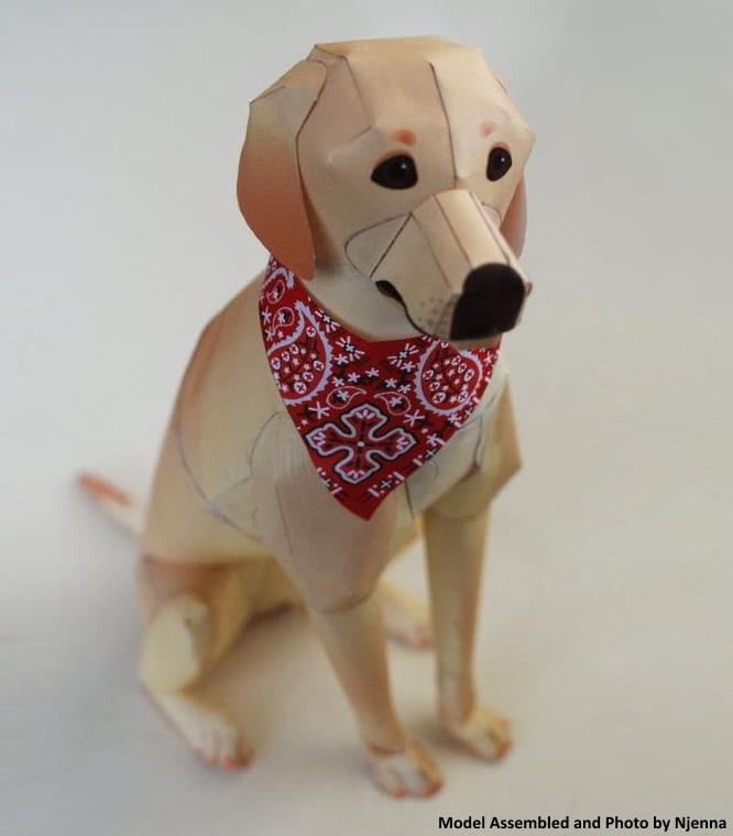 papermau's tweet photo. Labrador Golden Retriever Paper Model - by Nobutaka Mukouyama

And 4 more free papercrafts of animals at the link below:

https://t.co/rwAEYmB2WW

#ペーパークラフト #papercraft #papermodel #papermau #bastelbogen #bouwplaat #papiermodell #papírovýmodel #papertoy #kids https://t.co/miZtqJG3Rm