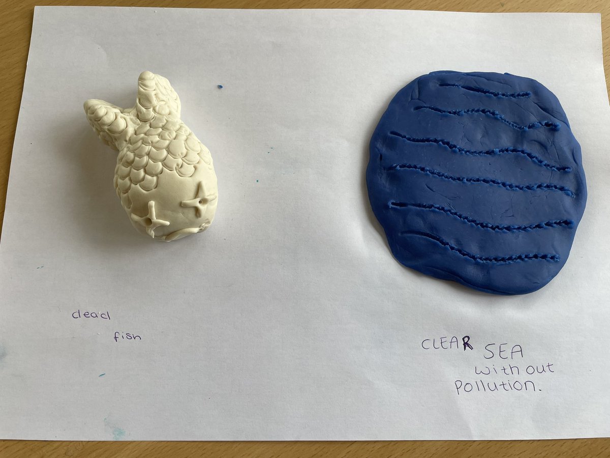 Miss Bird tweet media