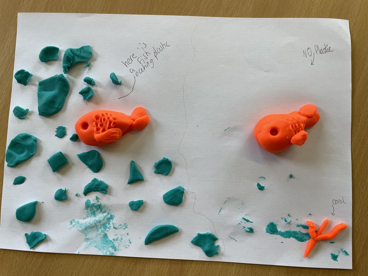 Miss Bird tweet media