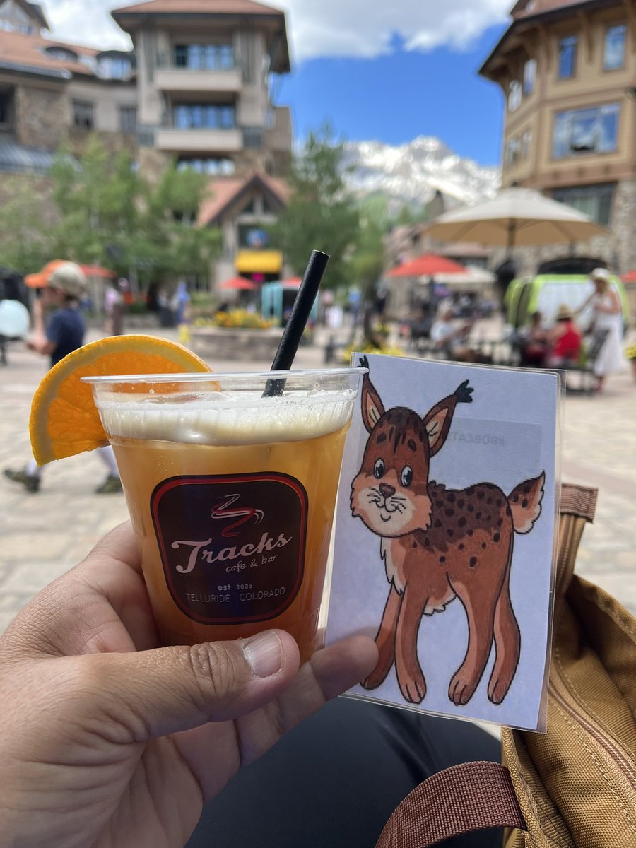 LisaRaymundo3's tweet photo. This Bobcat is enjoying this beautiful day! It’s 77* degrees and snow-top mountains are in sight! WOW! 💙🐾🧡
#BOBCATSABROAD https://t.co/OcnNt5cyNK