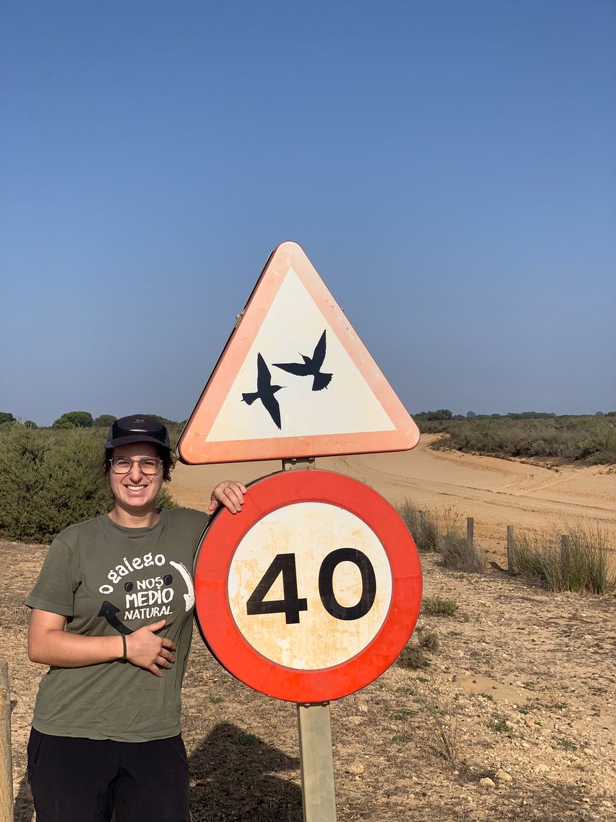 Last #fieldwork day of Candela, Master student @postgradoUPO on #BeeEater Reproduction #OnTheRoad, #Doñana #RoadEcology #DoñanaRoadEcology