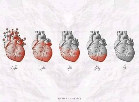 ChaimaBenAoun2's tweet photo. "الّذِينَ آمَنُواْ وَتَطْمَئِنّ قُلُوبُهُمْ بِذِكْرِ اللّهِ أَلاَ بِذِكْرِ اللّهِ تَطْمَئِنّ الْقُلُوبُ"
❤️ https://t.co/9BbpoYGpmL