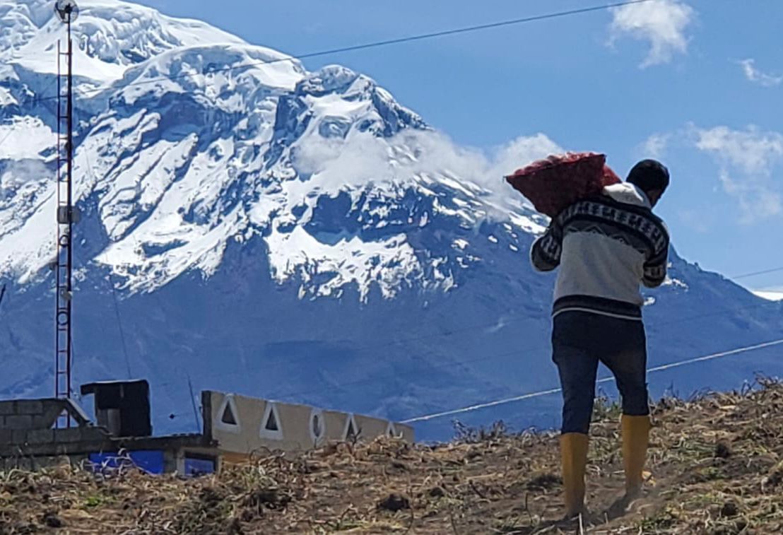 JimmyAvilaJar's tweet photo. Solo cuando nos ponemos en los zapatos de las personas entendemos su realidad.  Junto al equipo PIATER de planta central ayudamos en la cosecha de papas en el cantón Guano, de esta forma experimentamos el trabajo y  esfuerzo de nuestros agricultores. https://t.co/iBOg5VEUsR