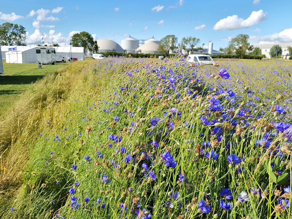 Flood & Water Live tweet media