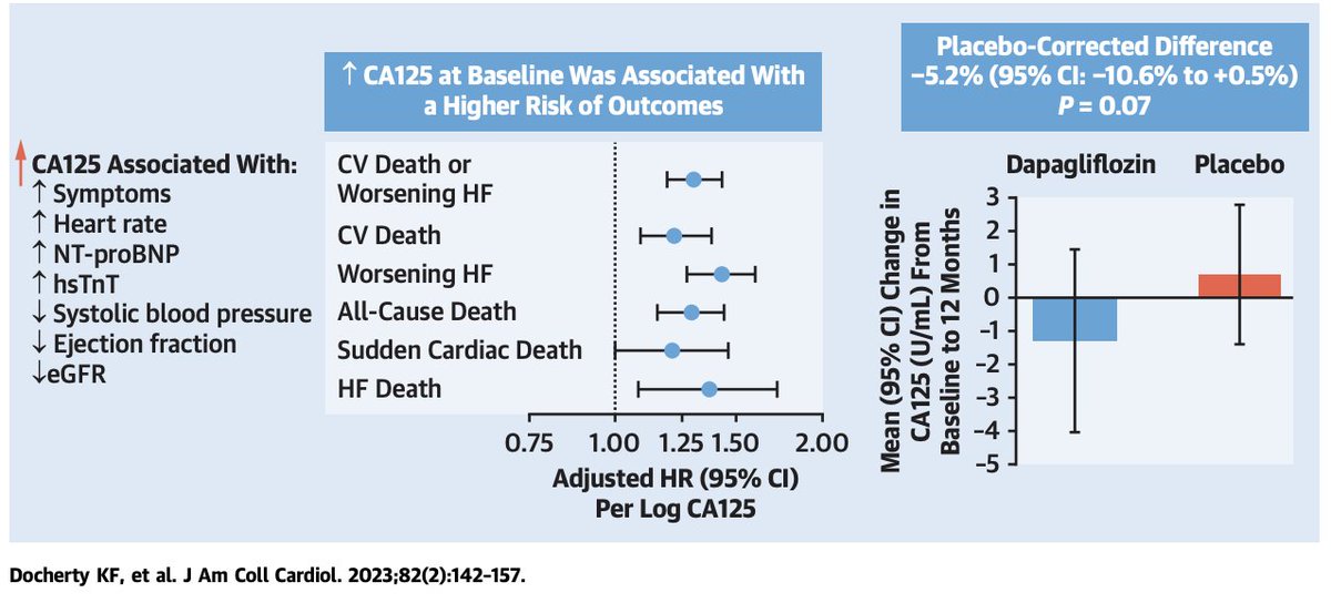 New paper online now in @JACCJournals describing the association between CA125 and outcomes along with the effect of dapagliflozin in ambulatory HFrEF. sciencedirect.com/science/articl… Some commentary on the article here from @TCTMD: tctmd.com/news/congestio…