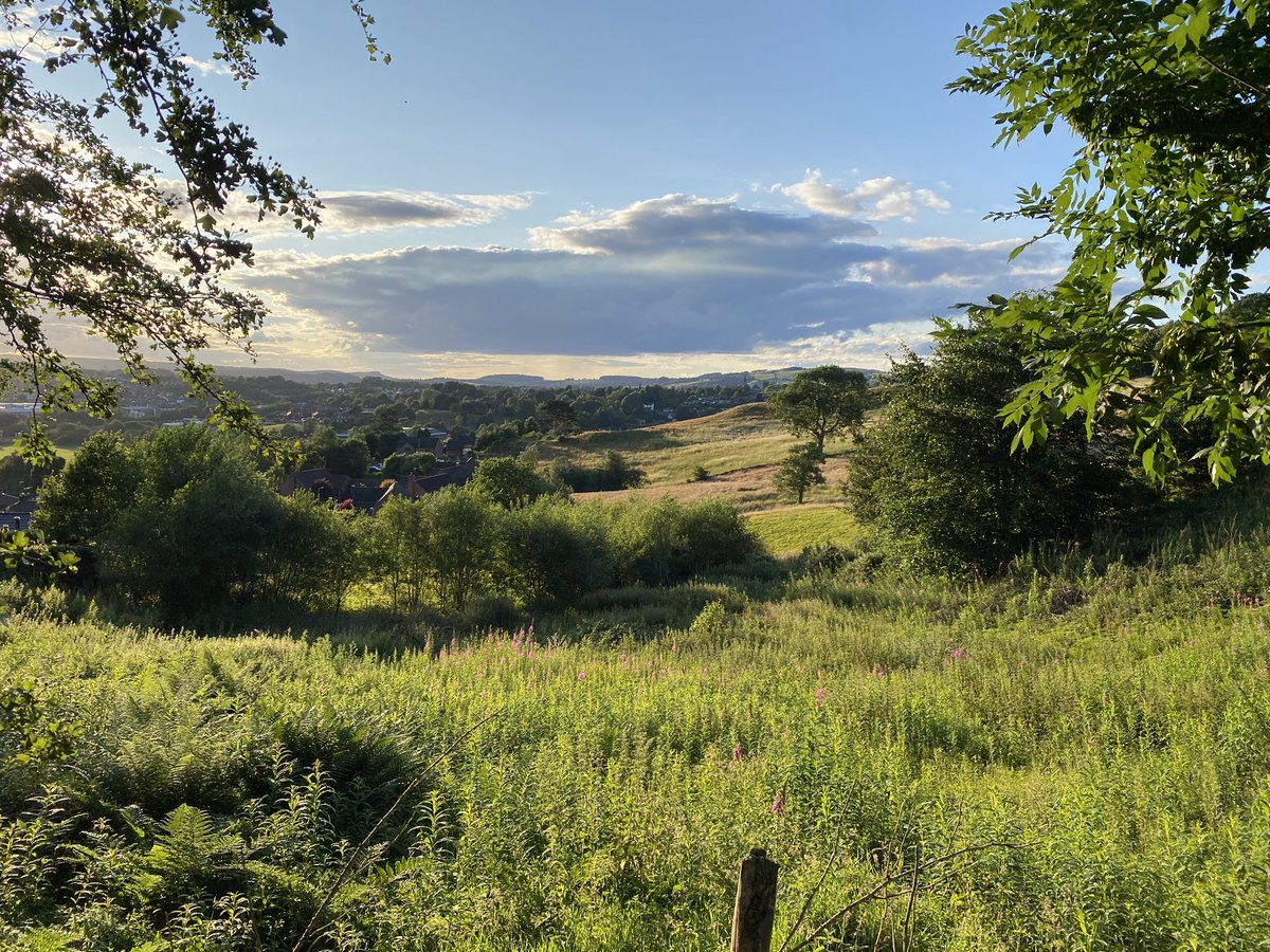 Every 5th tweet on the following tab is a “promoted” advert on this app! Just another attempt to get people to purchase more stuff they don’t need. 

In less depressing news, check out this view!