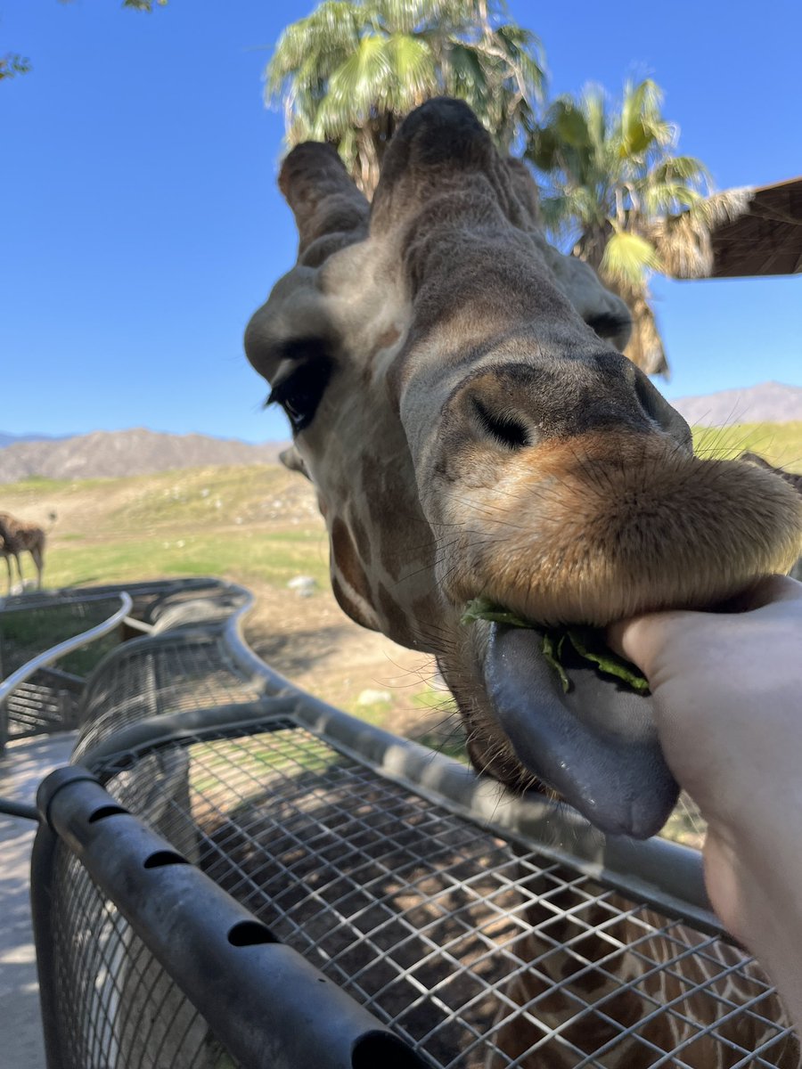 Her name is Kelly and I am obsessed with her