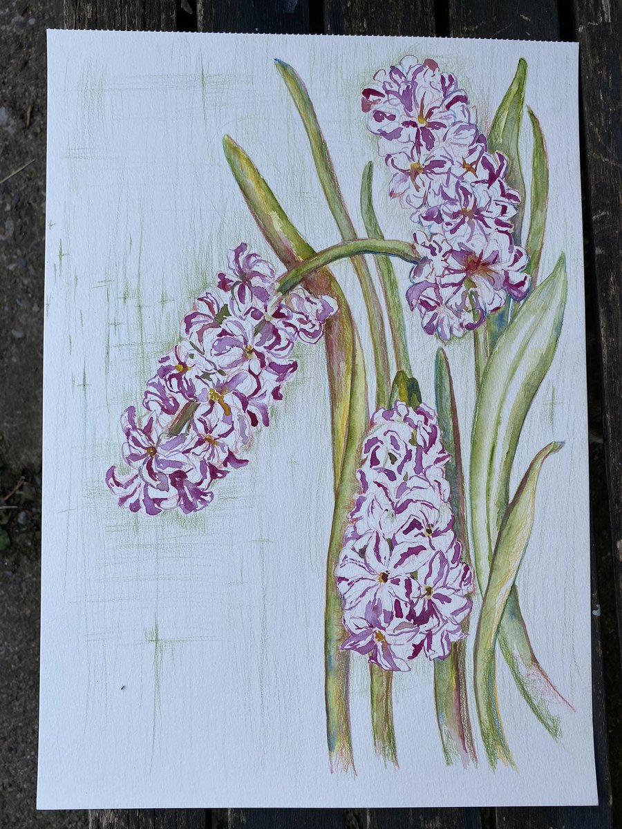 Joining the #sculptorsdrawingspace this evening with no time to prepare, so pulled out a previous drawing to rework. A delicious hour of scratching away with colouring pencils