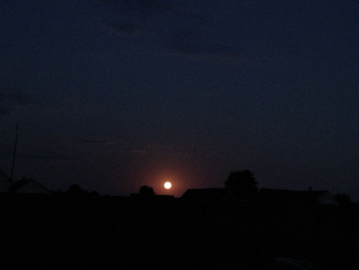 Telegram Group Smartphone Astrophotography tweet media